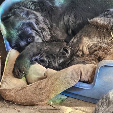 Seh' ich dich nicht, siehst du mich nicht