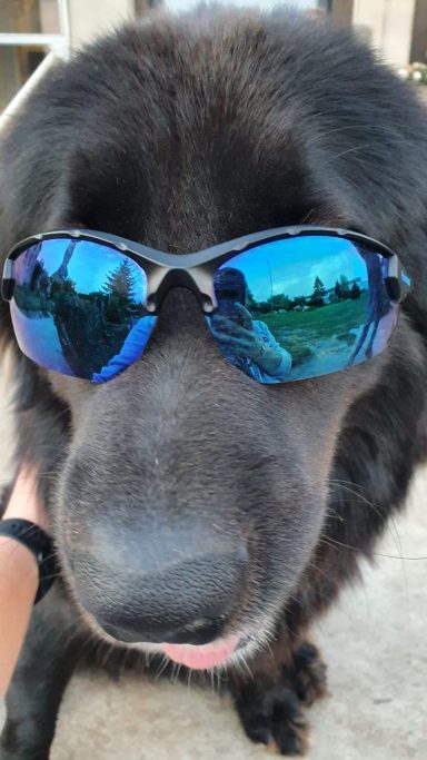 Oskar - ein bisschen Quatsch muss sein