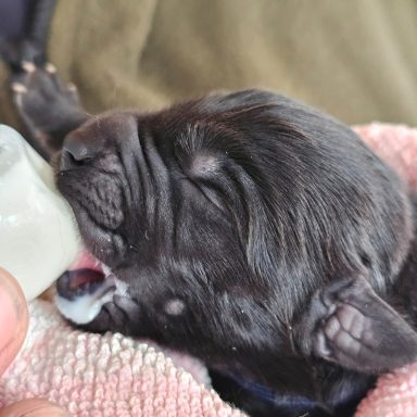 Bei 14 Kindern unterstützen wir mit der Flasche