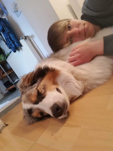 das beste Kopfkissen ist ein Hund