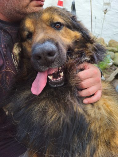 Barney, unser Nachbar, ein Kind von Trudi