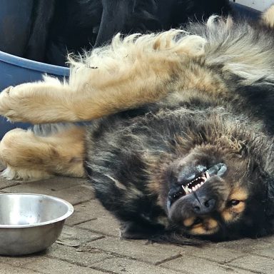 oh, er ist wohl kaputt gegangen ;-)