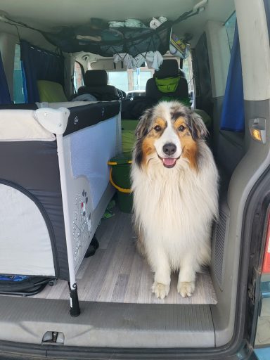 Camping mit Baby und Hund im T5