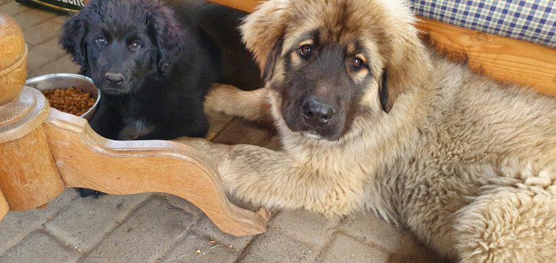 Unsere Rosi und unser Pumba